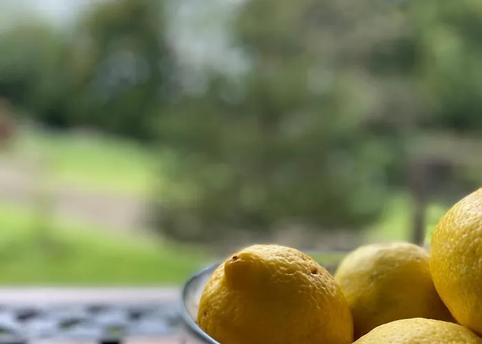 아파트 Casa Rural-la Casina De Camangu